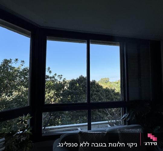 חלון גדול עם נוף של עצים ושמים כחולים